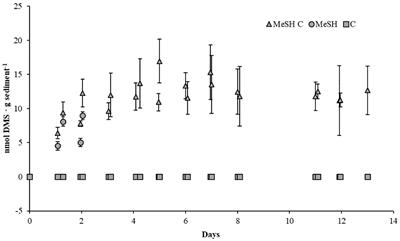 Methanethiol and Dimethylsulfide Cycling in Stiffkey Saltmarsh